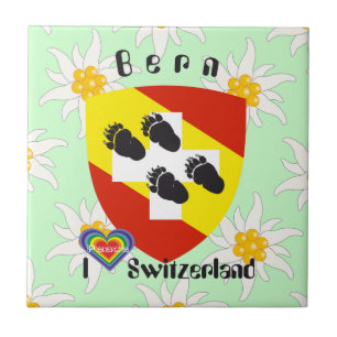 Bern Berne Berna Schweiz Suisse Fliese