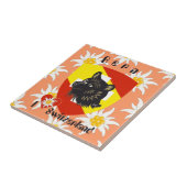 Bern Berne Berna Schweiz Suisse Fliese (Seite)