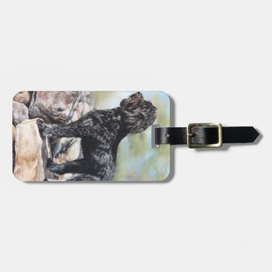 Bernadodaler Hund stehend auf Felsen Gepäckanhänger (Vorderseite horizontal)