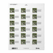 Bernard im Garten Adressaufkleber (Vorne)