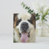 Bernard Postkarte (Stehend Vorderseite)