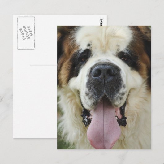 Bernard Postkarte (Vorne/Hinten)