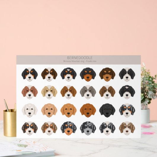 Bernedoodle Acrylzeichen Acrylschild (Hochzeit)