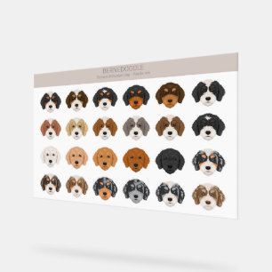 Bernedoodle Acrylzeichen Acrylschild