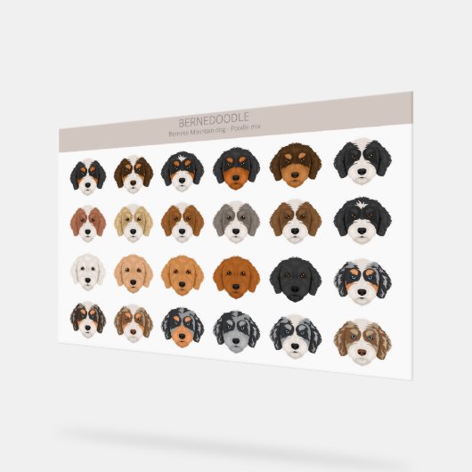 Bernedoodle Acrylzeichen Acrylschild (Winkel)