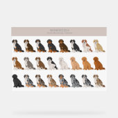 Bernedoodle Acrylzeichen Acrylschild (Vorderseite)