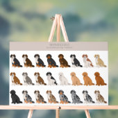 Bernedoodle Acrylzeichen Acrylschild (Neutral)