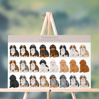 Bernedoodle Acrylzeichen Acrylschild