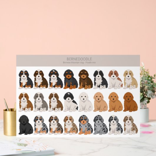 Bernedoodle Acrylzeichen Acrylschild (Hochzeit)