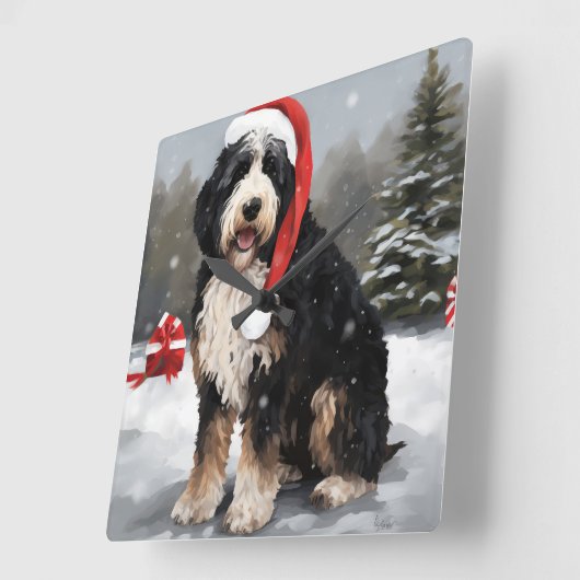 Bernedoodle Dog in Schnee Weihnachten Quadratische Wanduhr (Winkel)