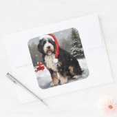 Bernedoodle Dog in Schnee Weihnachten Quadratischer Aufkleber (Umschlag)
