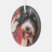 BerneDoodle entspannt sich auf Teppich Ornament Aus Glas (Vorderseite links)