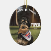 Bernedoodle Football definiert Trouble Ornament (Rechts)