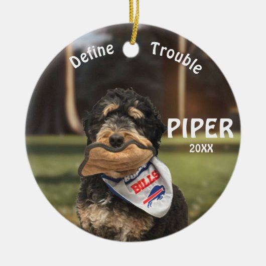Bernedoodle Football definiert Trouble Ornament (Vorne)
