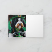 Bernedoodle Hund Fahrrad St. Patrick's Day Karte (Innenseite)