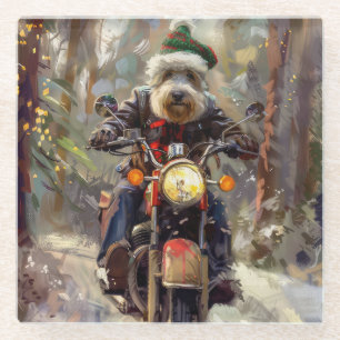 Bernedoodle Hund fährt Motorrad Weihnachten  Glasuntersetzer