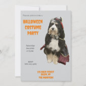 Bernedoodle Hund in Pirate Halloween Kostüm Party Einladung (Vorderseite)