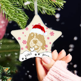 Bernedoodle Hund Personalisiert Zeichnend Hand Keramik Ornament