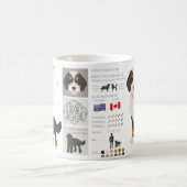 Bernedoodle-Hundemisch Tasse (Mittel)