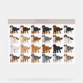 Bernedoodle-Hundemischung Acrylschild (Vorderseite)