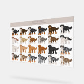 Bernedoodle-Hundemischung Acrylschild (Winkel)