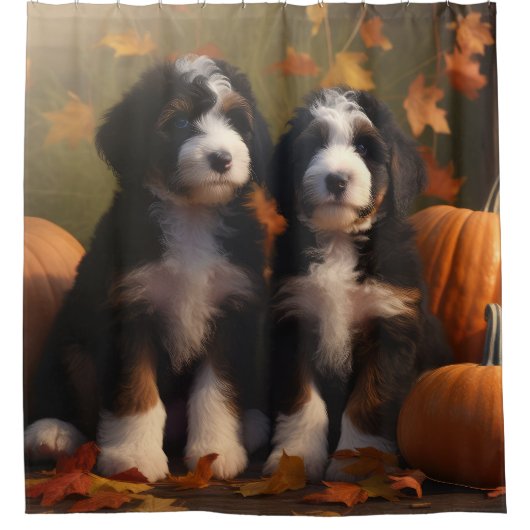 Bernedoodle Puppy Autumn Delight Pumpen Duschvorhang (Vorderseite)