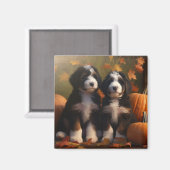 Bernedoodle Puppy Autumn Delight Pumpen Magnet (Vorderseite/Rückseite)