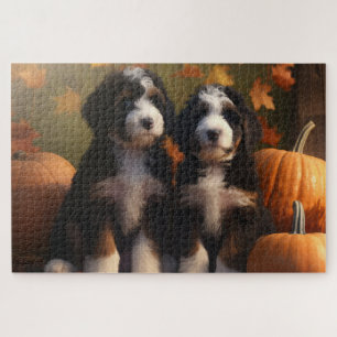 Bernedoodle Puppy Autumn Delight Pumpen Puzzle