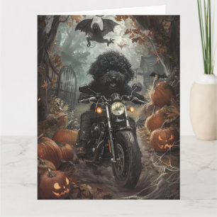 Bernedoodle Riding Motorrad Halloween Beängstigend Karte