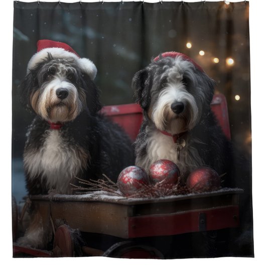 Bernedoodle Snowy Sleigh Weihnachtsdekor Duschvorhang (Vorderseite)