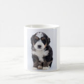 Bernedoodle Tasse (Mittel)