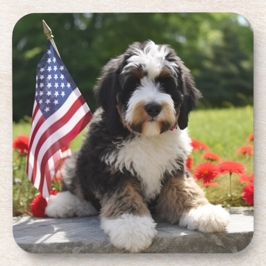 Bernedoodle USA Untersetzer (Vorderseite)