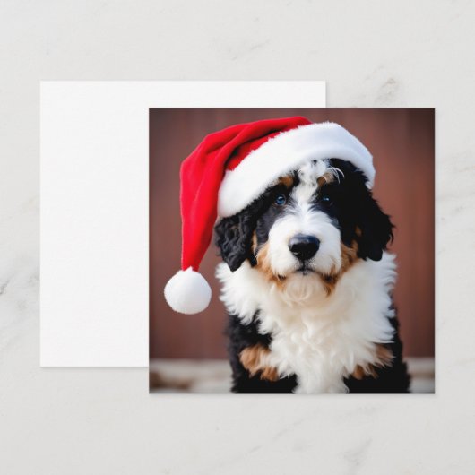 Bernedoodle Weihnachten (Vorne/Hinten)