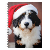 Bernedoodle Weihnachten Notizblock (Vorderseite)