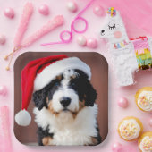 Bernedoodle Weihnachten Pappteller (Party)