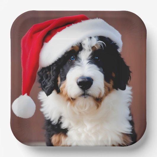 Bernedoodle Weihnachten Pappteller (Vorderseite)
