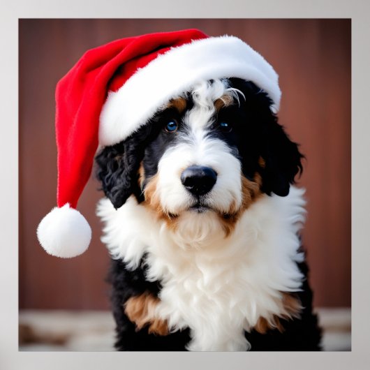 Bernedoodle Weihnachten Poster (Vorne)