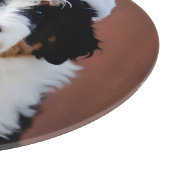 Bernedoodle Weihnachten Schneidebrett (Ecke)