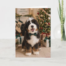 Bernedoodle Weihnachtskarte