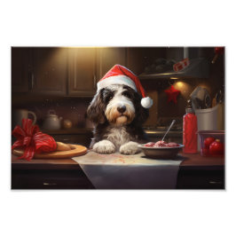 Bernedoodle Weihnachtskost Feiertag Fotodruck