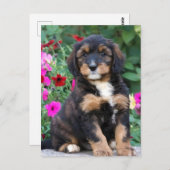 Bernedoodle-Welpe in Petunien Postkarte (Vorne/Hinten)
