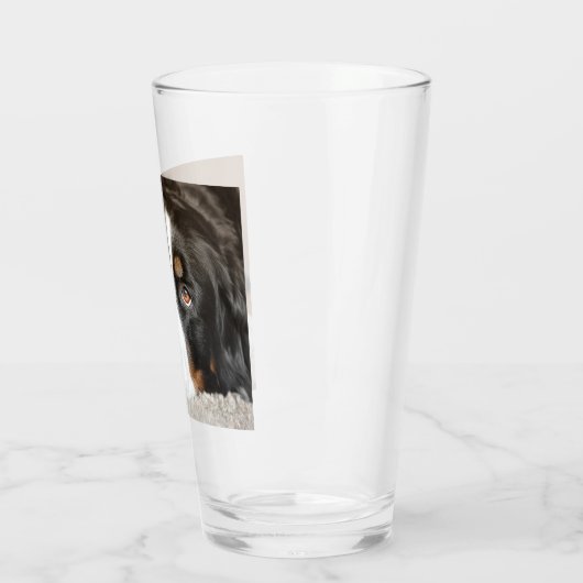 Bernenhund Glas (Links)