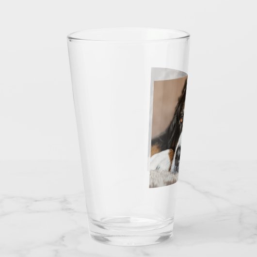 Bernenhund Glas (Rechts)