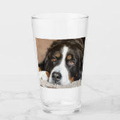 Bernenhund Glas (Vorderseite)