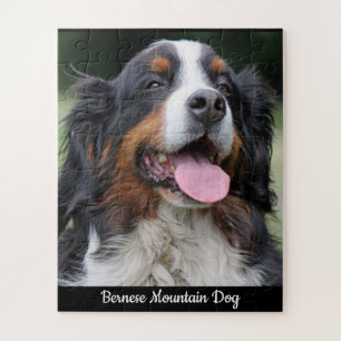 Berner Berg Hund Jigsaw Puzzle