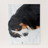 Berner Berghund im Schnee Puzzle (Vertikal)