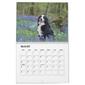 Berner Berghund Kalender (Mär 2027)