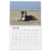 Berner Berghund Kalender (Feb 2027)