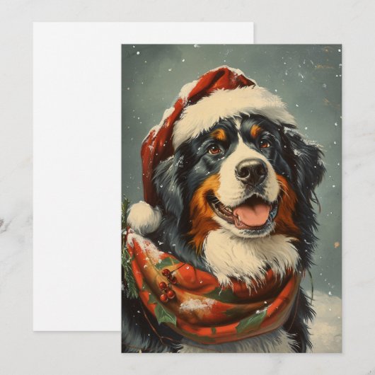 Berner Berghund Weihnachten (Vorne/Hinten)