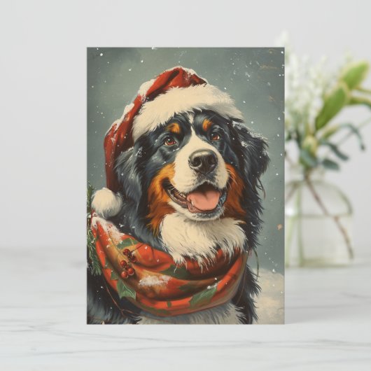 Berner Berghund Weihnachten (Stehend Vorderseite)